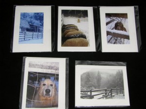 Snowy Farm Card Set