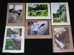 Blank Farm Cards