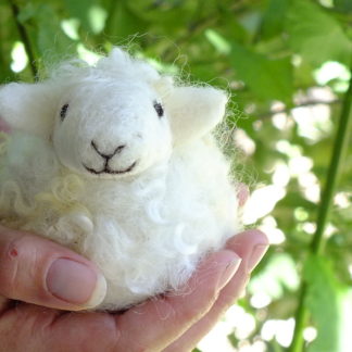 smiling wool sheep