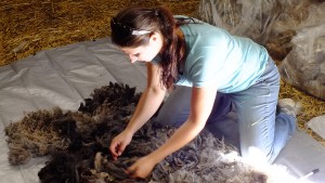 gray fleece on tarp