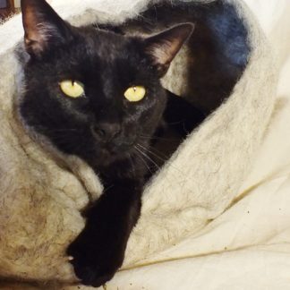Cat Cave