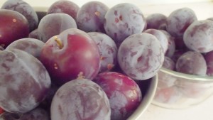 freshly picked plums in bowls