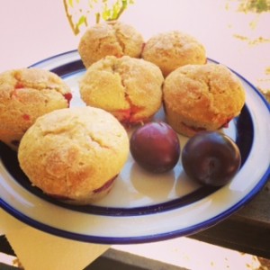 plum muffins