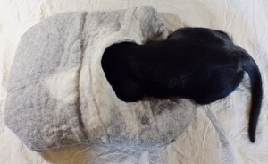 black cat clifford in felt cave