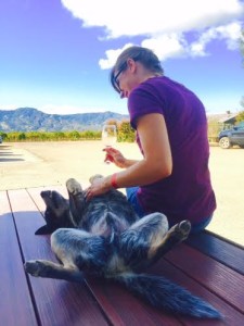 blue heeler and friend