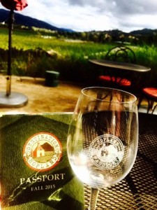 wine glass and vineyard
