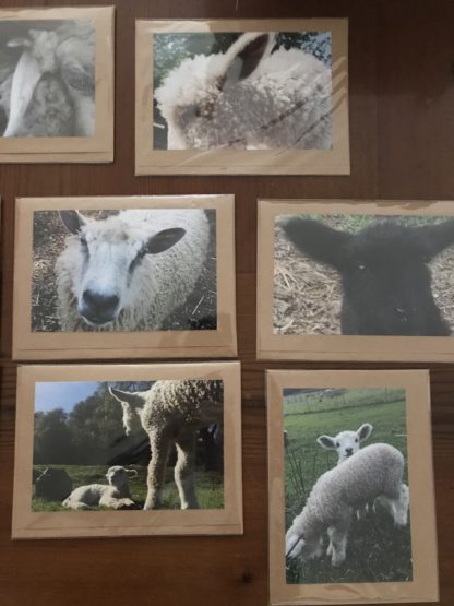 Farm Greeting Cards - Image 3